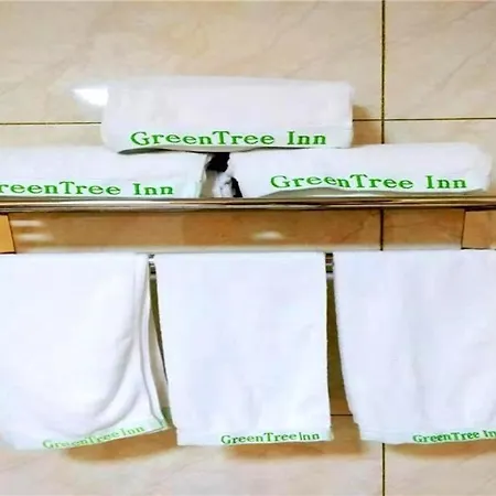 Greentree Ningbo Hangzhou Wan New District Lishi Square Business Juechuan